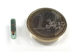 Motogadget M-Lock Key Glass Tube